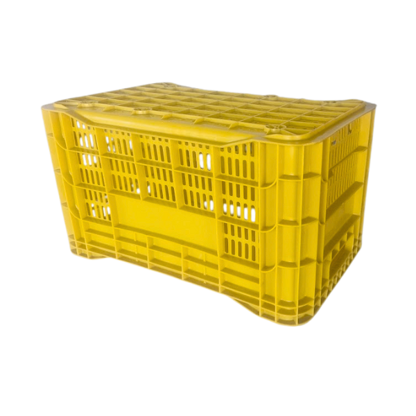caixa plastica amarela 2