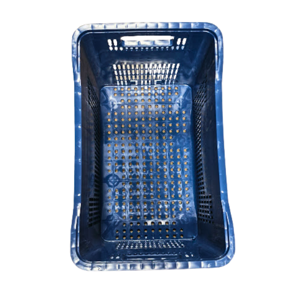 caixa plastica azul 2